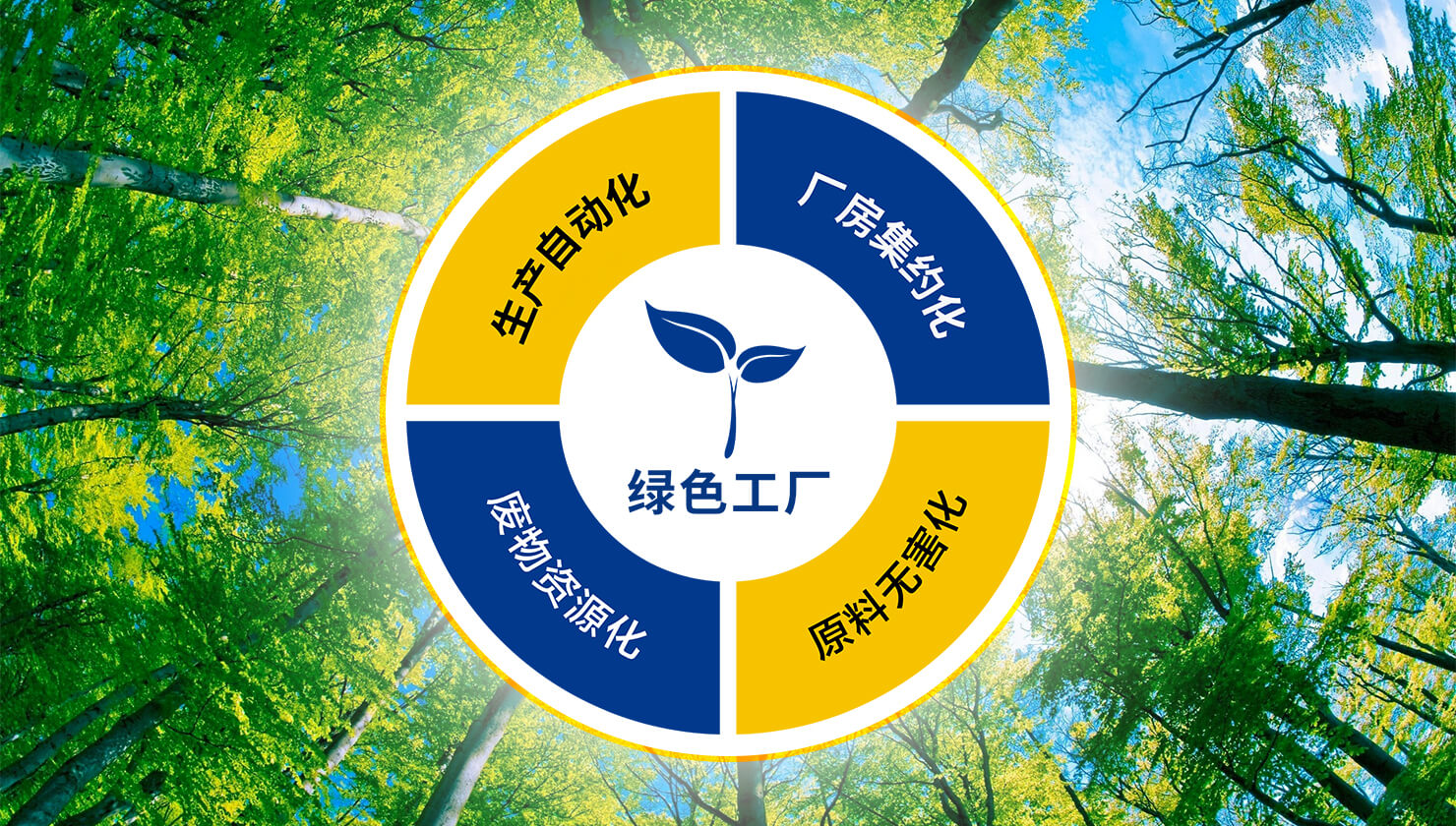 社会责任与可持续发展